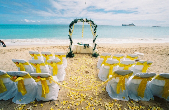 Yellow plumeria | wedding setup photos of beach hawaii set up